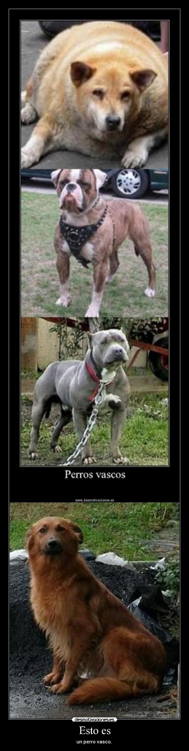 carteles htdfdrasd desmotivaciones