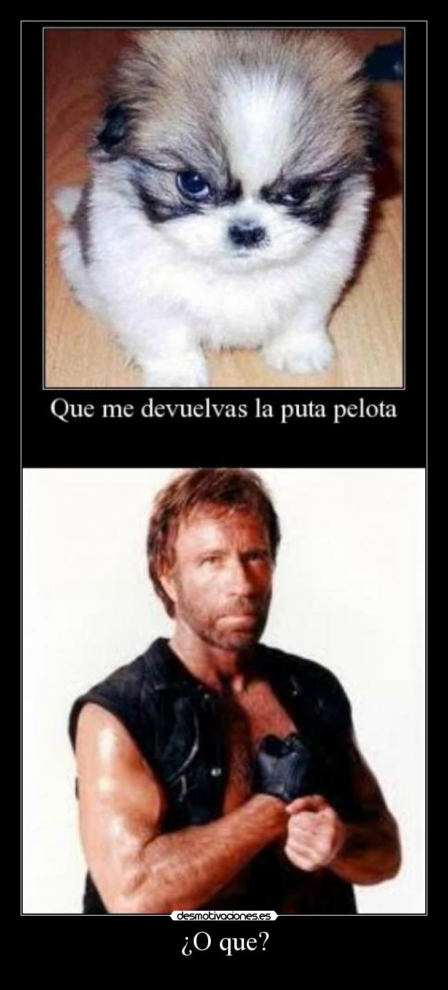 ¿O que? -