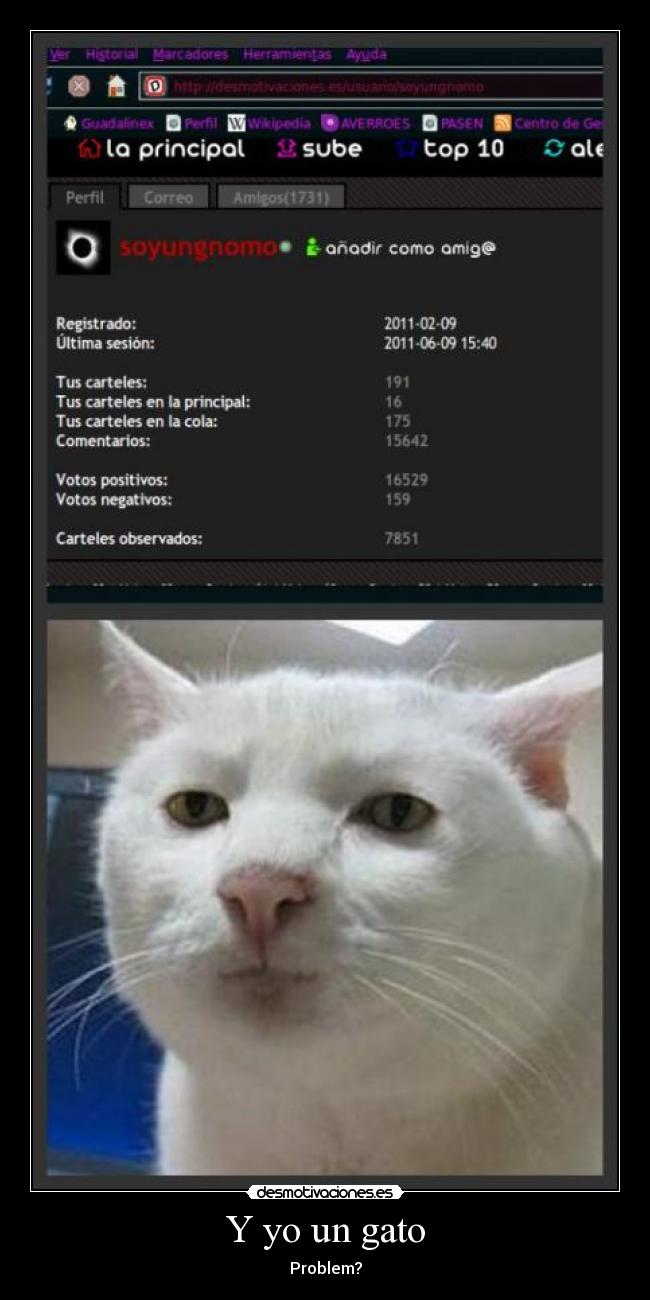 Y yo un gato - Problem?