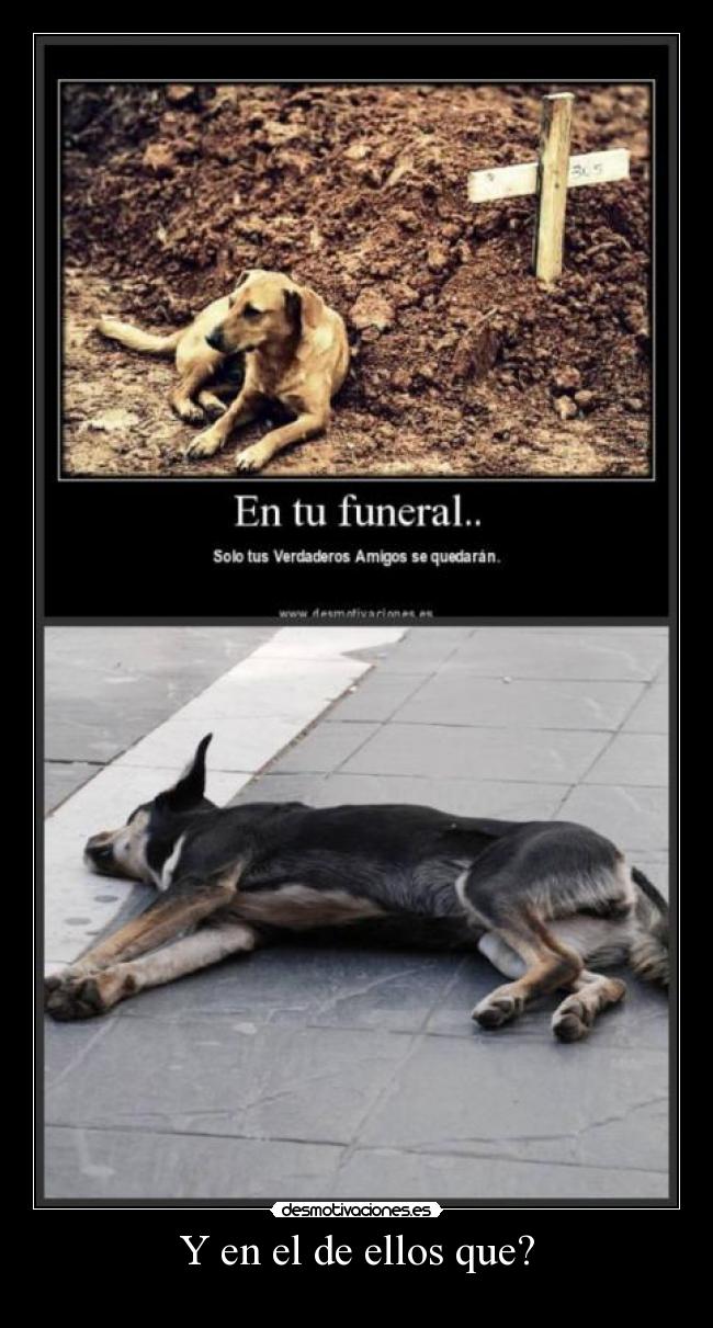 Y en el de ellos que? - 