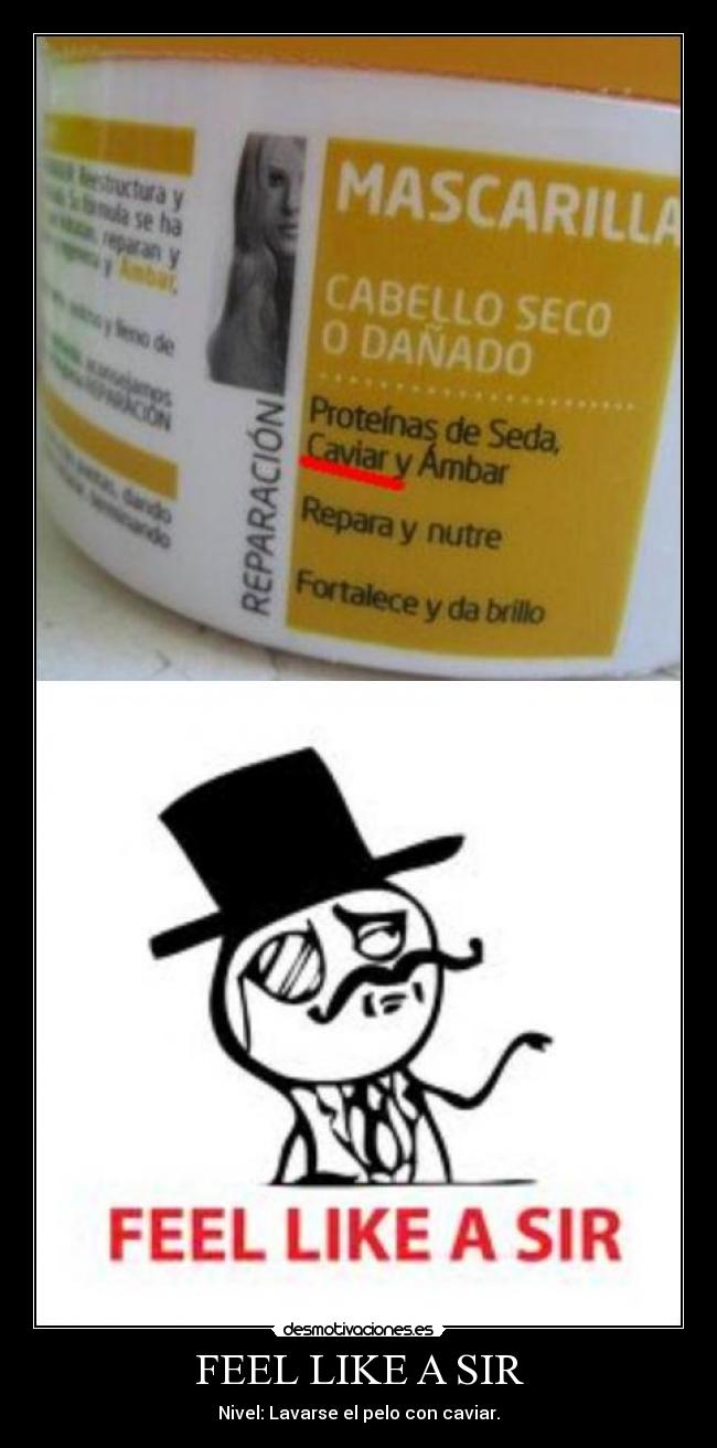 FEEL LIKE A SIR - Nivel: Lavarse el pelo con caviar.