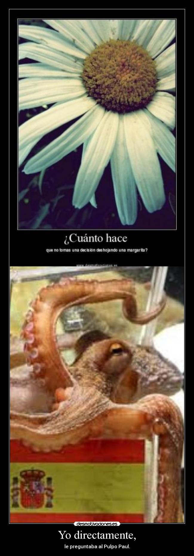 Yo directamente, - le preguntaba al Pulpo Paul.