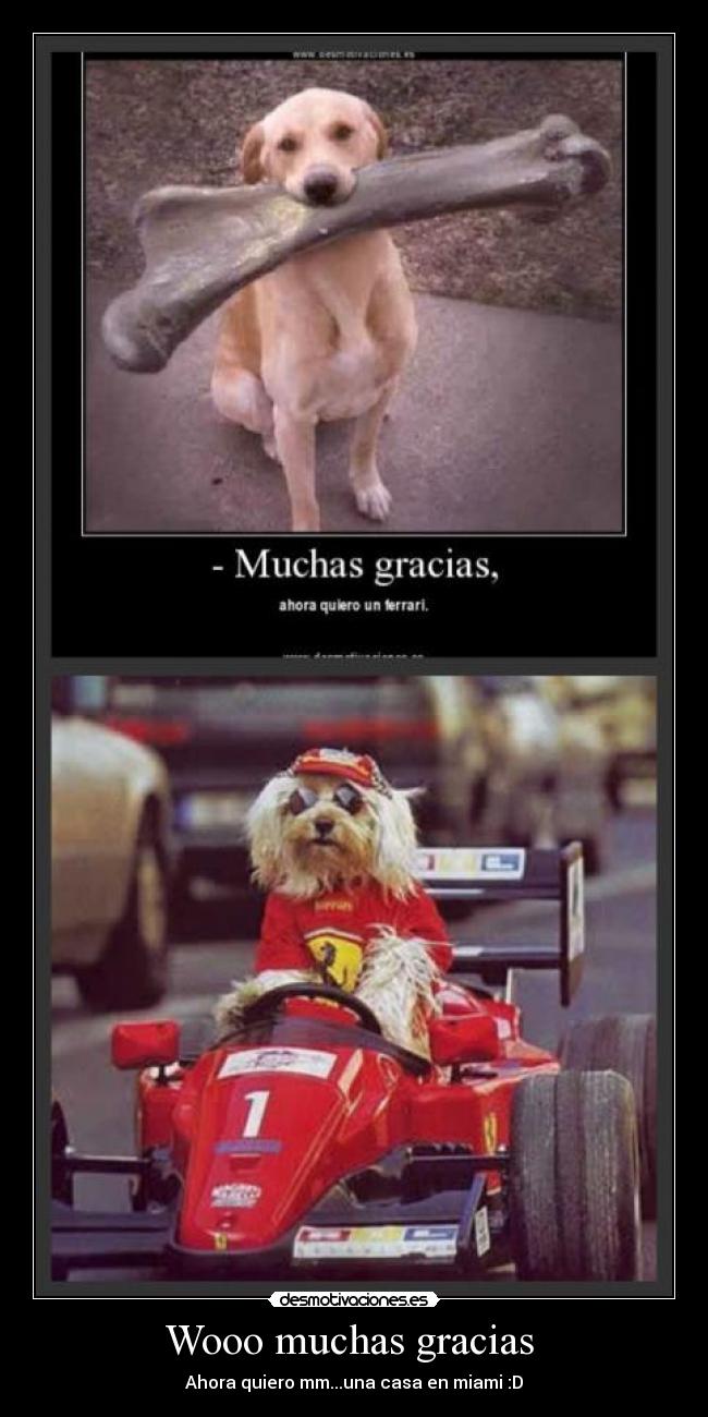 Wooo muchas gracias - Ahora quiero mm...una casa en miami :D