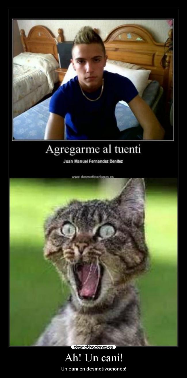 Ah! Un cani! -