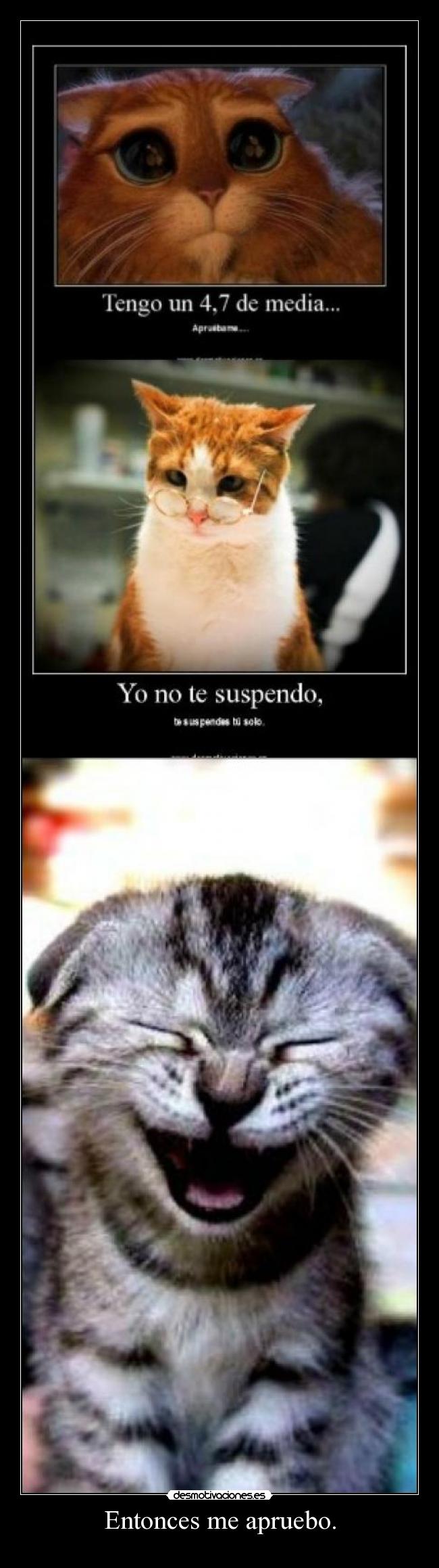 Entonces me apruebo. -