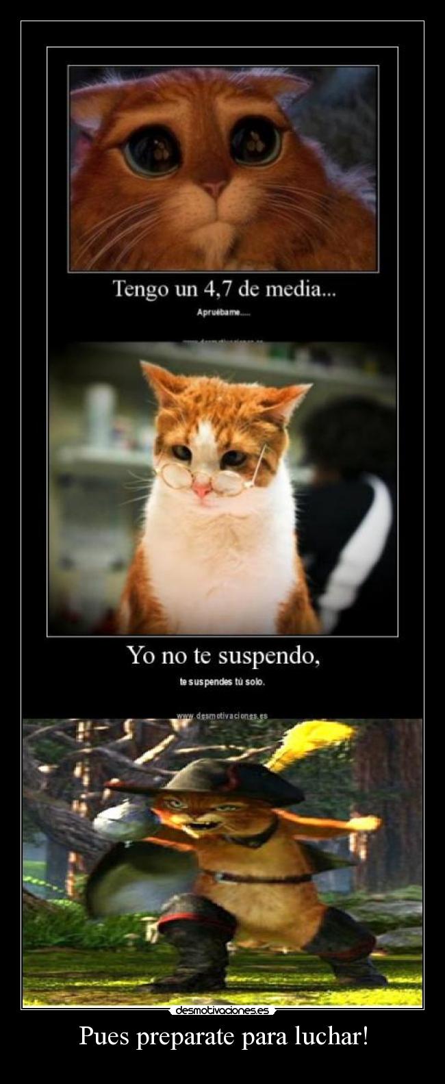 Pues preparate para luchar! - 