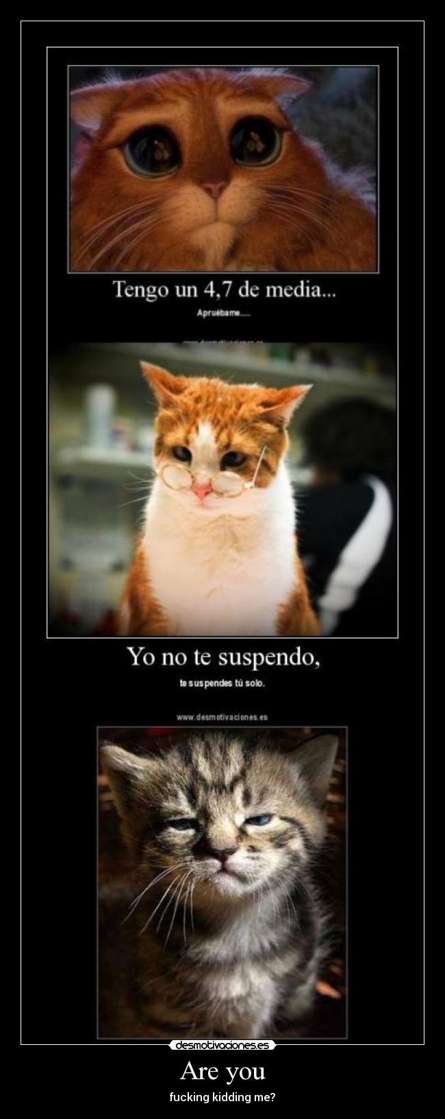 Are you - fucking kidding me?