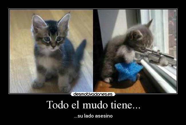 Todo el mudo tiene... -
