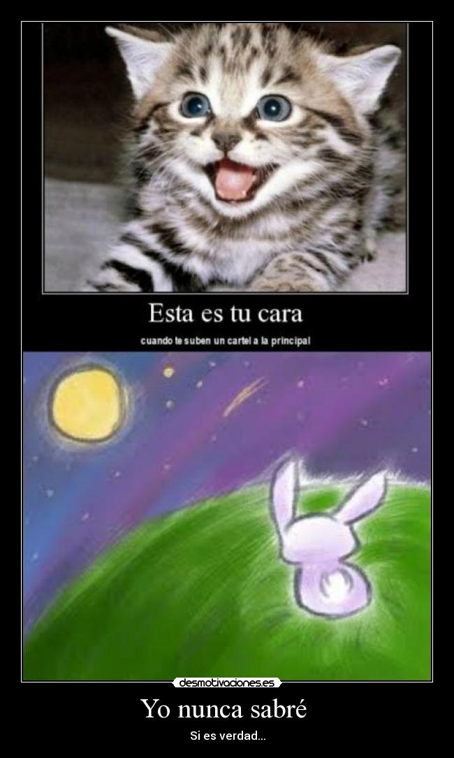 Yo nunca sabré -