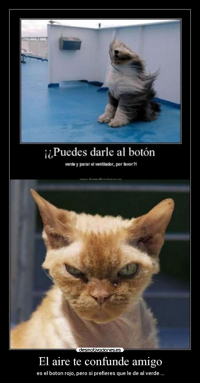 El aire te confunde amigo - 