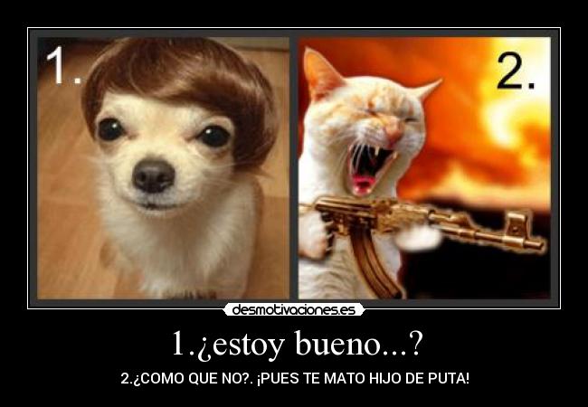 1.¿estoy bueno...? -