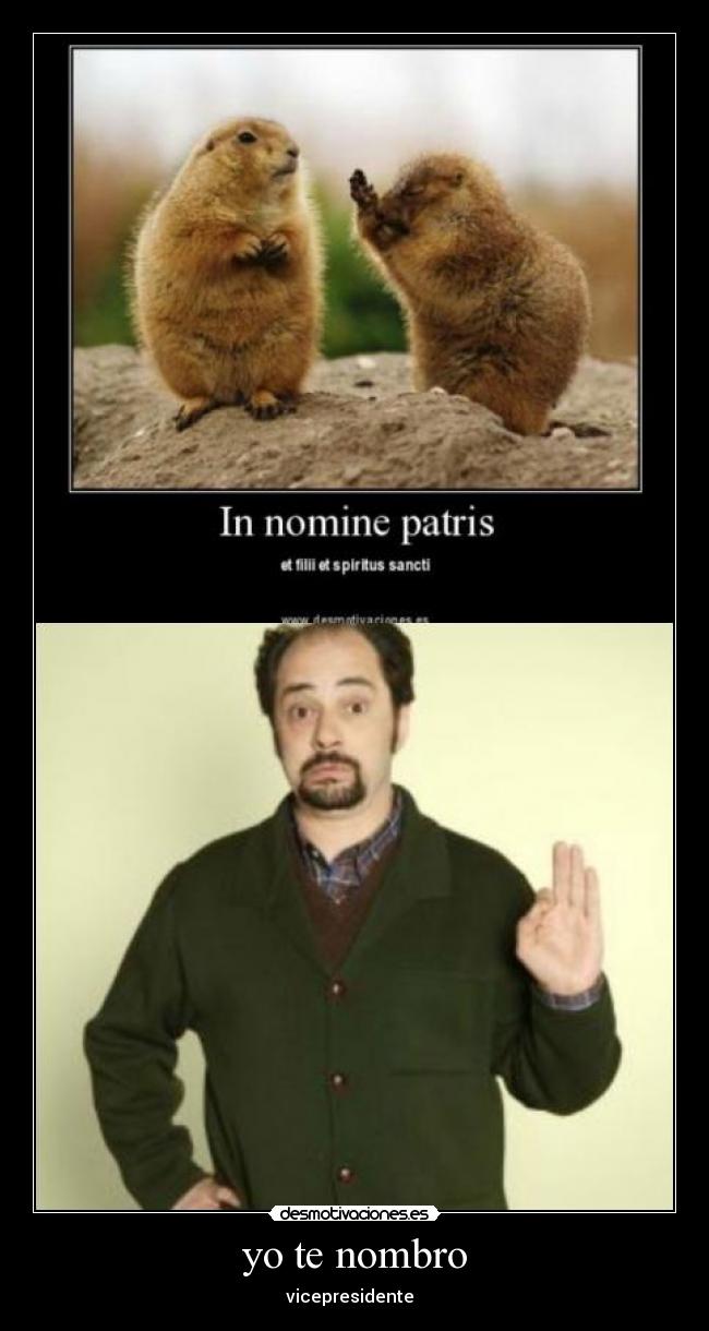 yo te nombro - vicepresidente  
