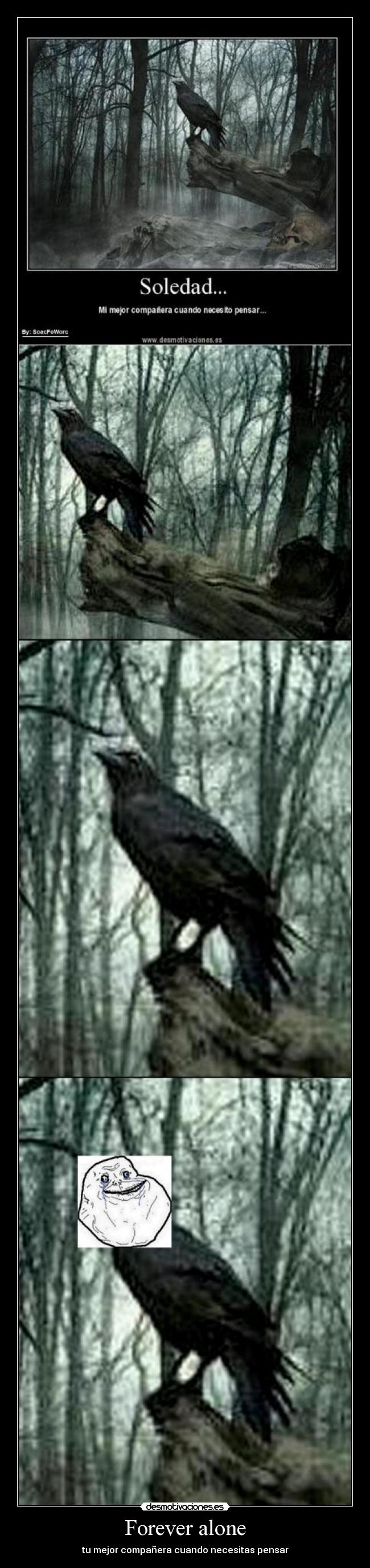 Forever alone - tu mejor compañera cuando necesitas pensar