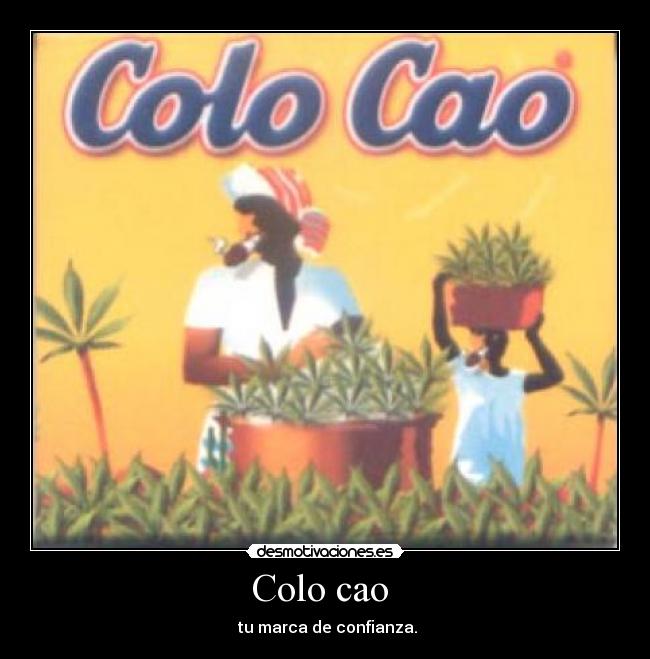 Colo cao -