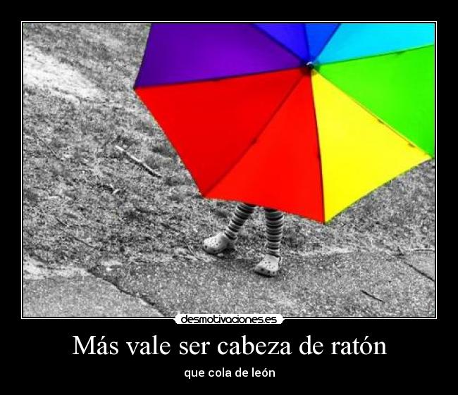Más vale ser cabeza de ratón - 