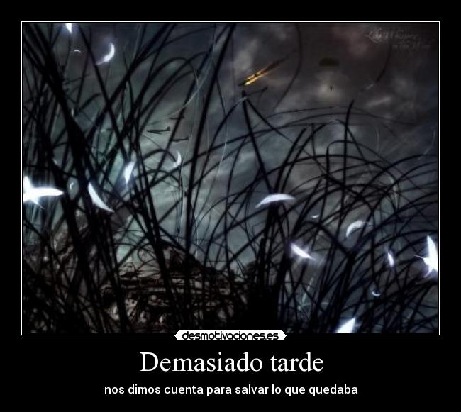 Demasiado tarde - 