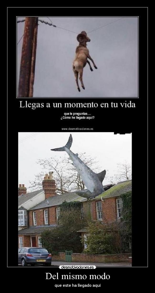 carteles mismo modo aqui como cabra pez desmotivaciones walt_k desmotivaciones