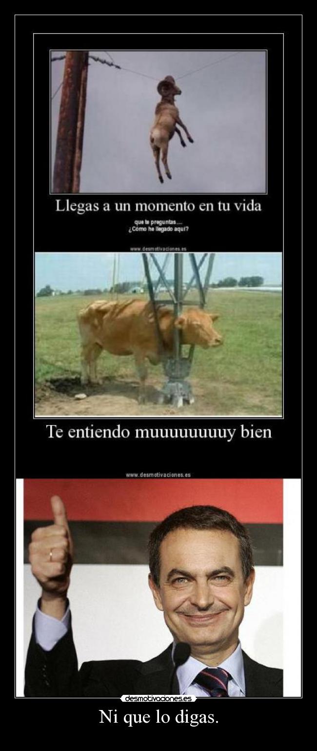 Ni que lo digas. - 