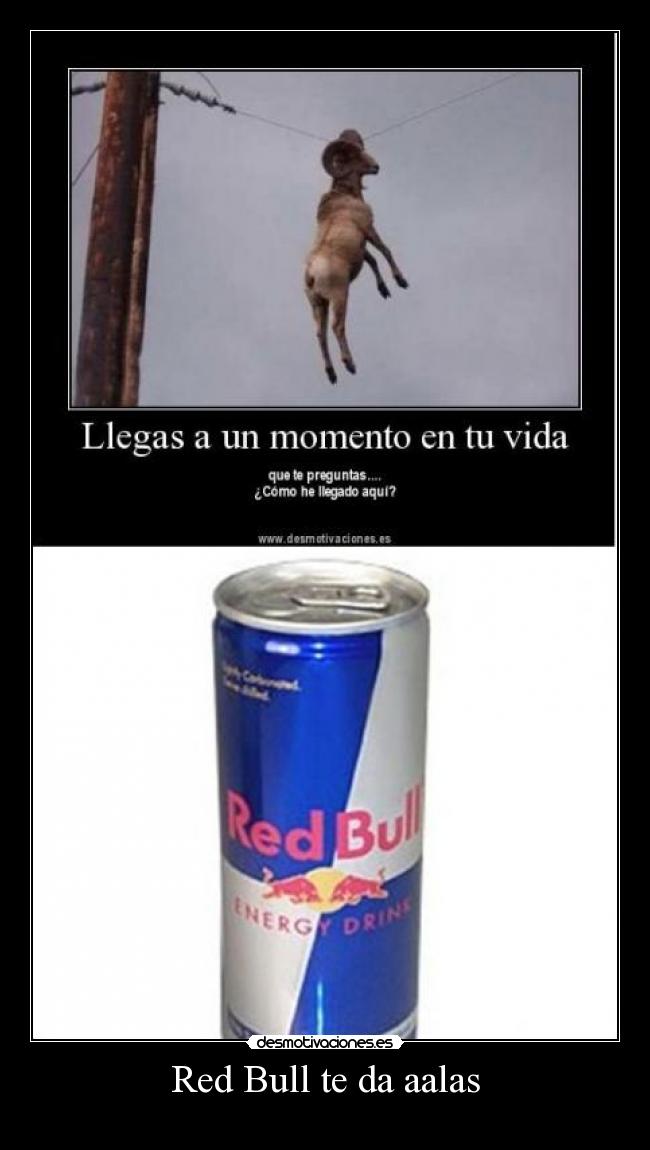 Red Bull te da aalas - 