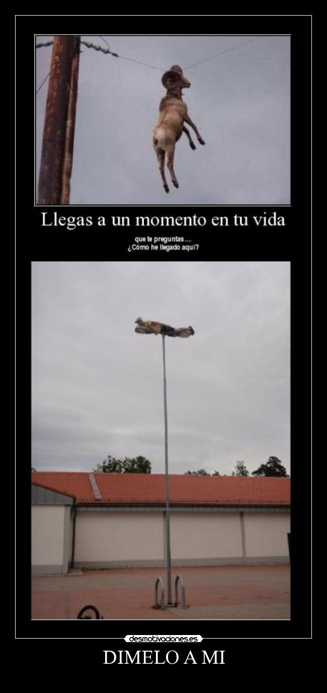 carteles llega momento vida que preguntas como llegado aqui dimelo mi desmotivaciones