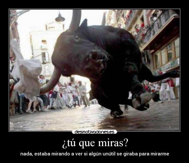 ¿tú que miras? -