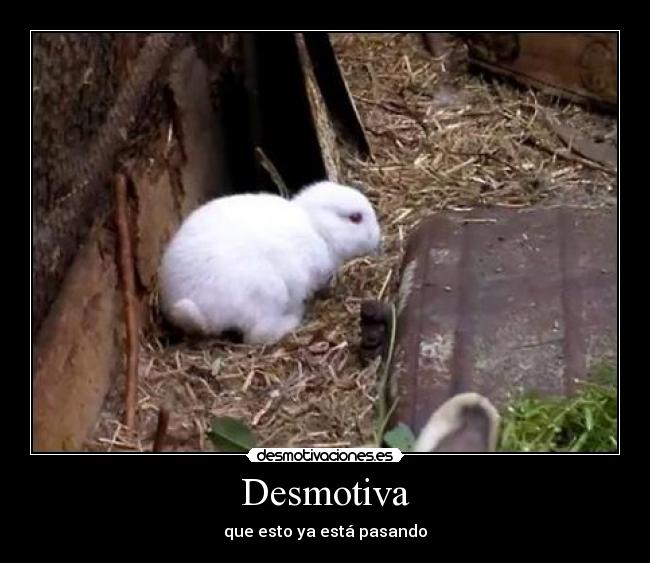 Desmotiva - 