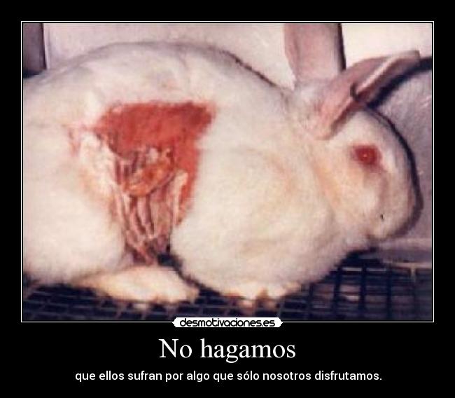 No hagamos -