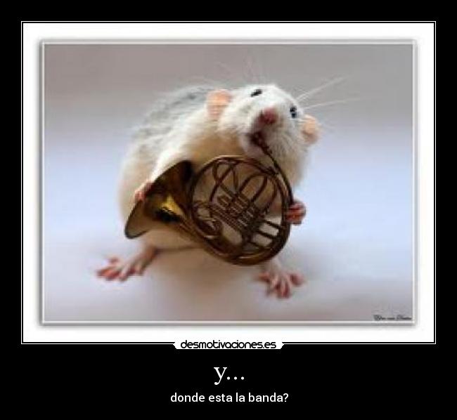 y... - donde esta la banda?