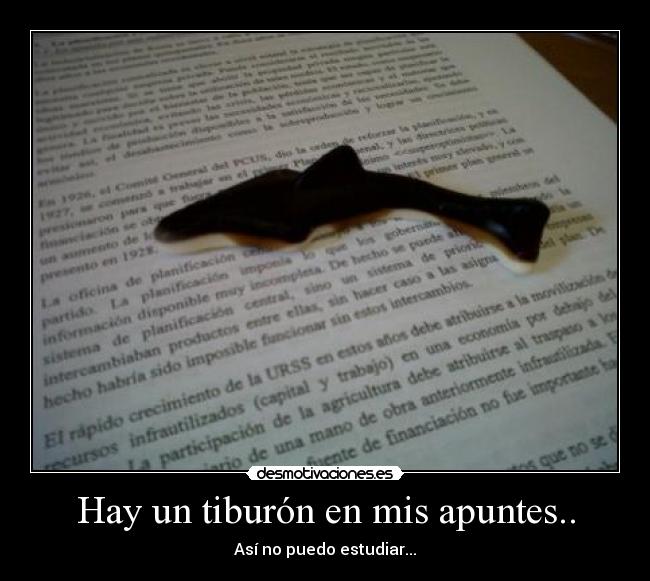 Hay un tiburón en mis apuntes.. -