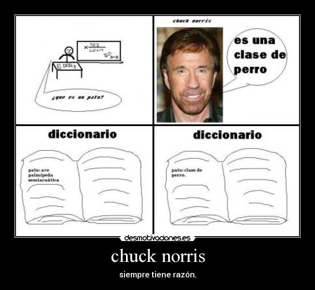 chuck norris - siempre tiene razón.