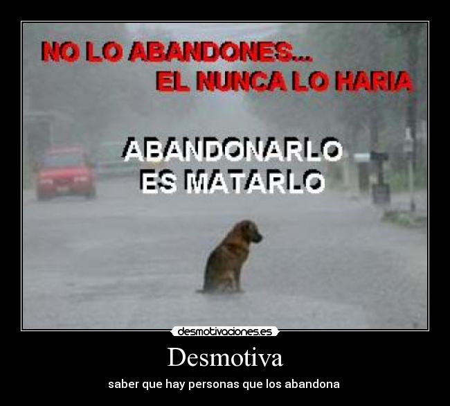 Desmotiva - saber que hay personas que los abandona