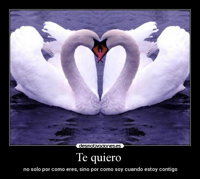 Te quiero  - 