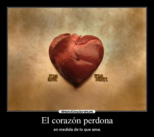 El corazón perdona - en medida de lo que ama.