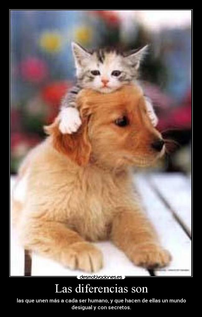 Las diferencias son -