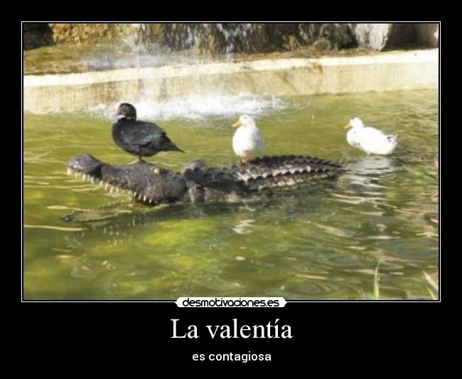 La valentía -