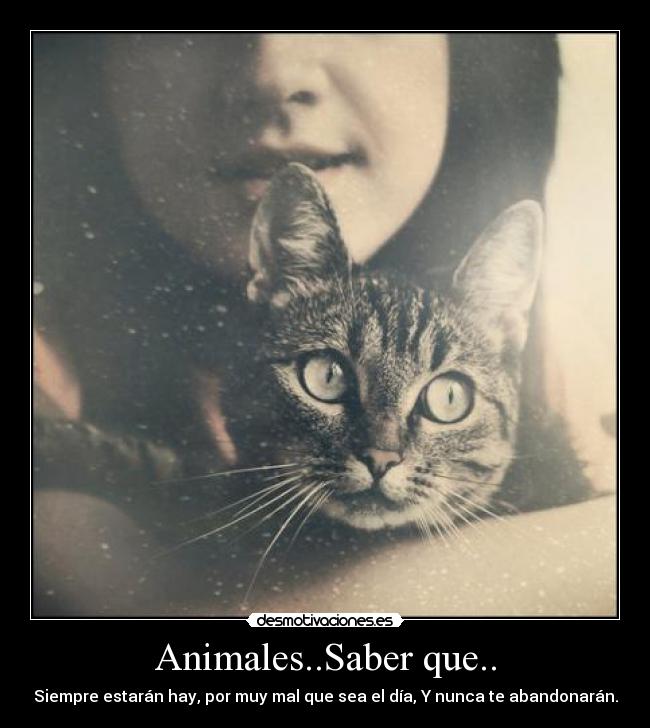 Animales..Saber que.. - Siempre estarán hay, por muy mal que sea el día, Y nunca te abandonarán.