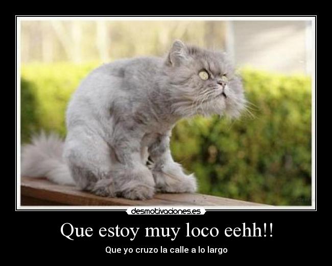 Que estoy muy loco eehh!! - 