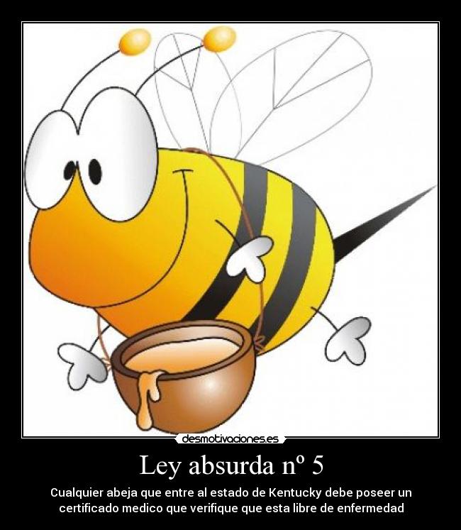 Ley absurda nº 5 - 