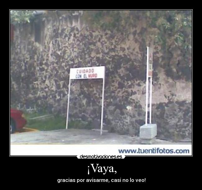 ¡Vaya, - 