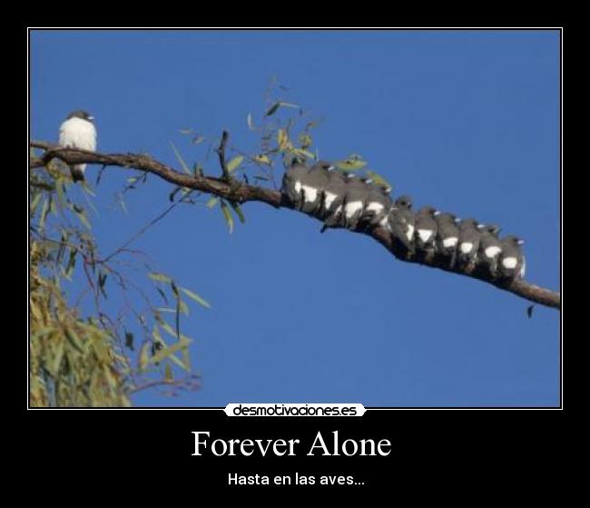 carteles forever desmotivaciones