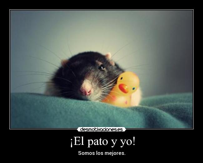 ¡El pato y yo! -