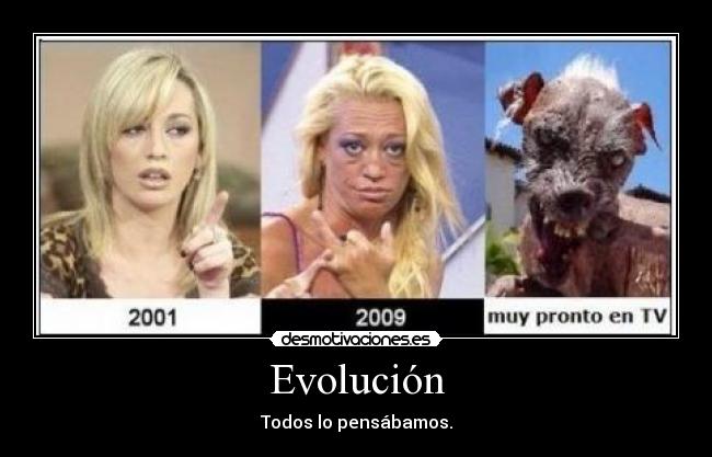 Evolución - 