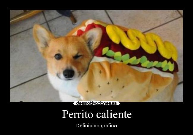 Perrito caliente - Definición gráfica