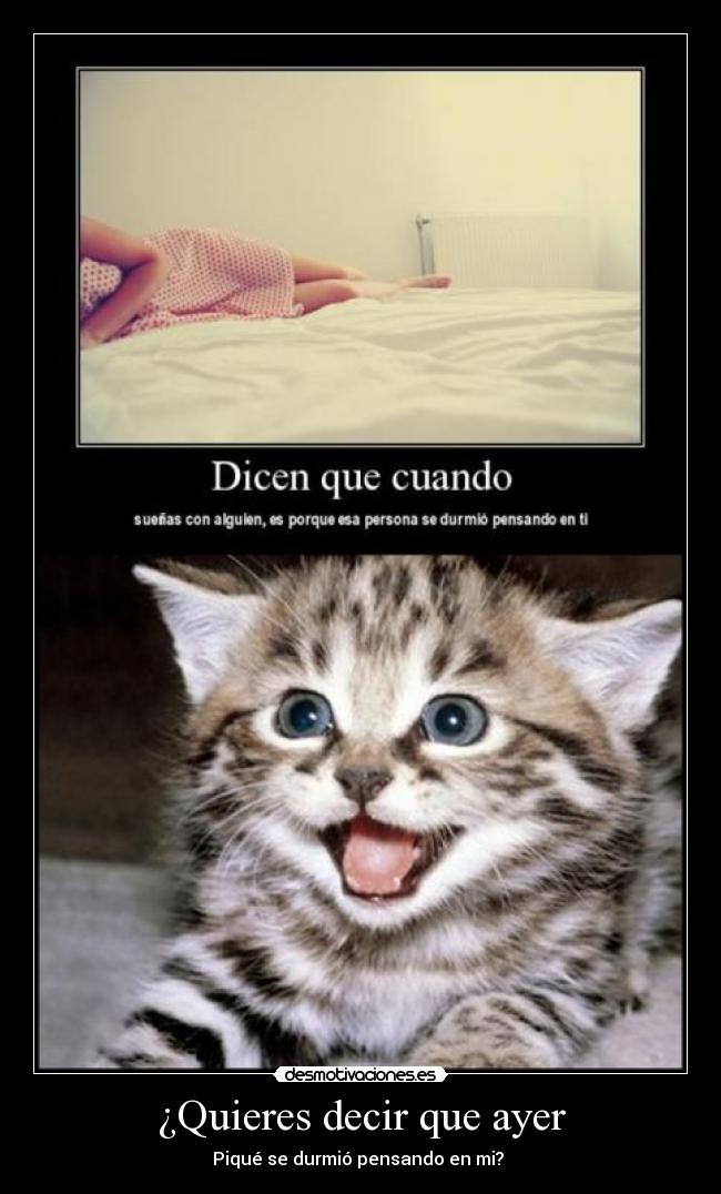 ¿Quieres decir que ayer -