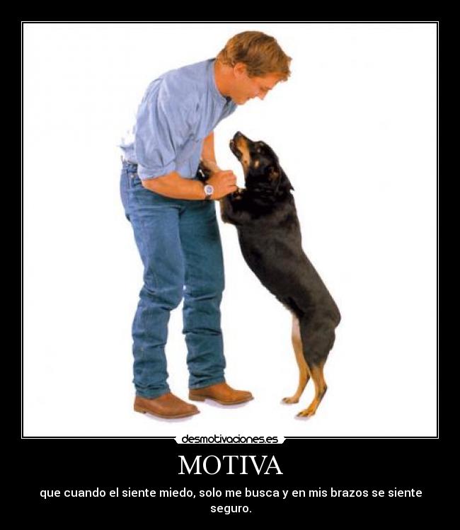 MOTIVA -