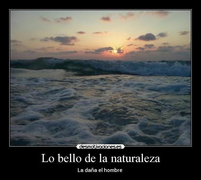 Lo bello de la naturaleza -