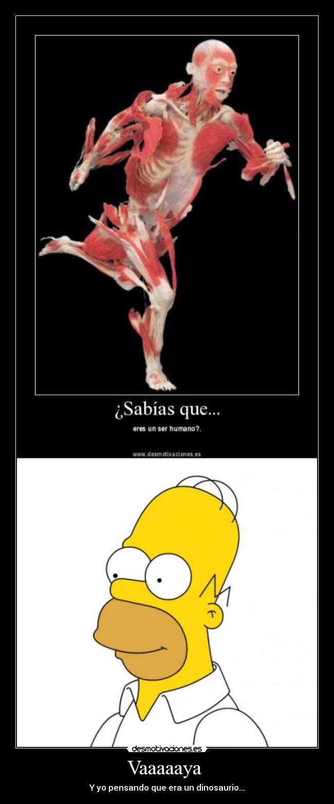 carteles homer desmotivaciones