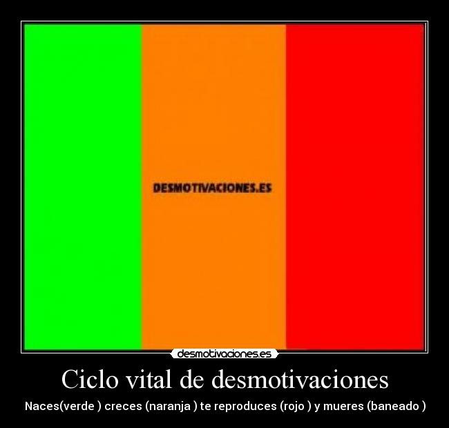 Ciclo vital de desmotivaciones - 