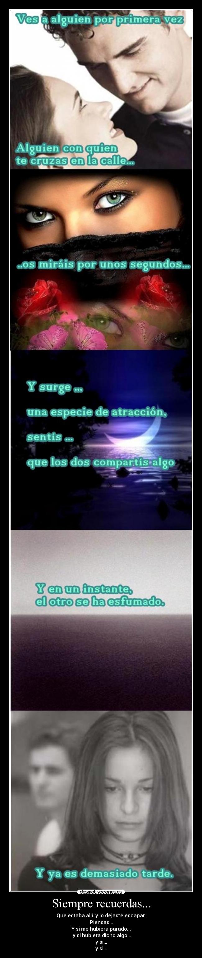 carteles amor primera vista gatoswalk amistad desmotivaciones