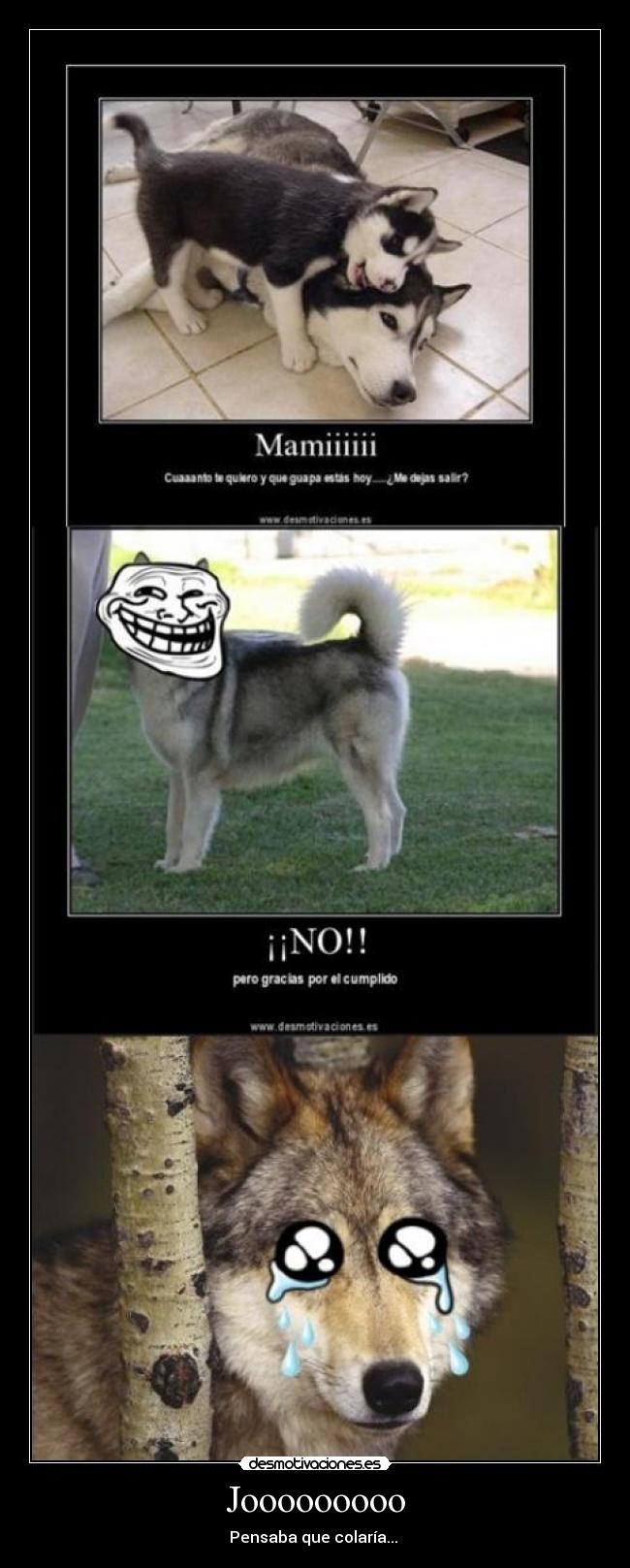 Jooooooooo - Pensaba que colaría...